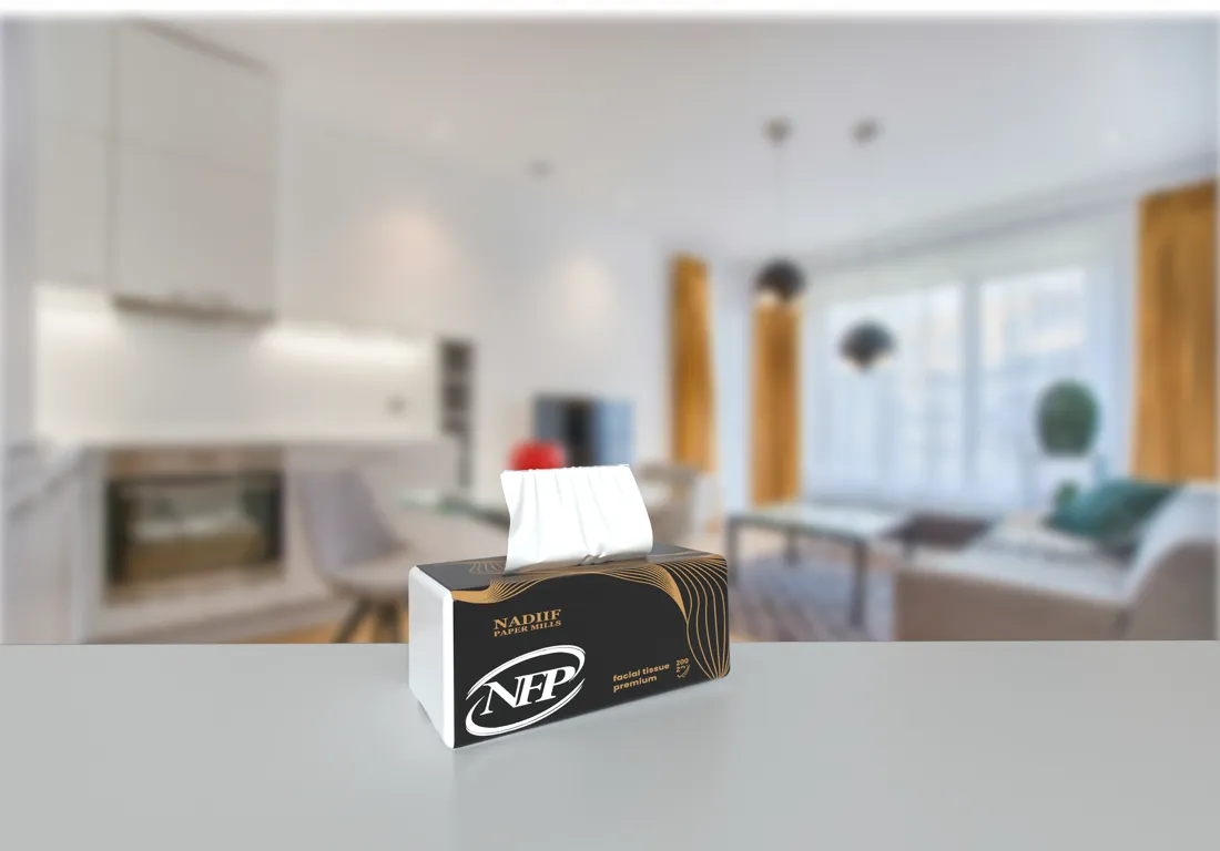Nadiif Premium facial tissue box standing on a table in a bright living room